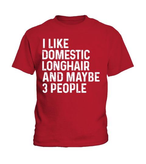 I Like Domestic Longhair And Maybe 3 People Cat Kids T-Shirt