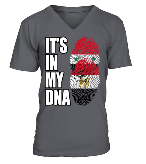 Syrian And Egyptian Vintage Heritage DNA Flag V-Neck T-shirt