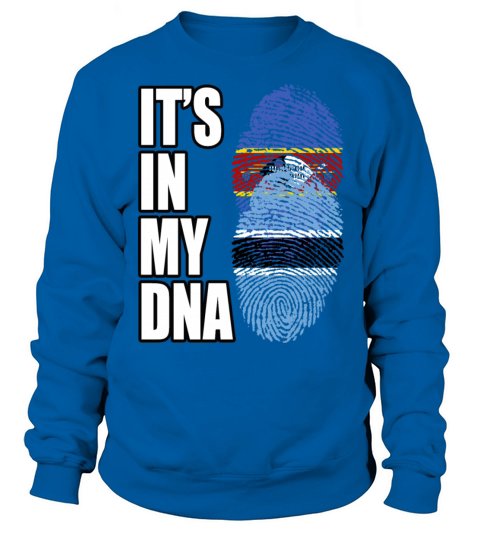 Swazi And Botswanan Vintage Heritage DNA Flag Sweatshirt Unisex