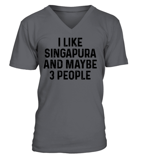 I Like Singapura And Maybe 3 People Cat Lover Gift V-Neck T-shirt