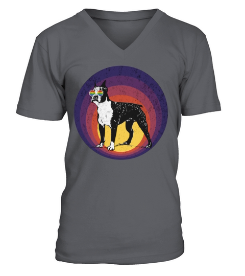 Vintage Boston Terrier Gay Pride Sunglasses LGBT V-Neck T-shirt