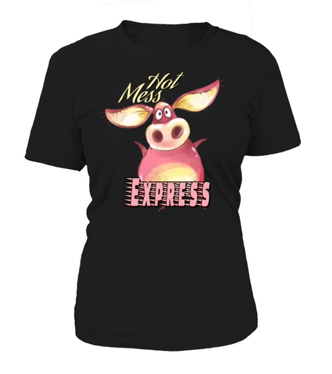 Hot Mess Express Funny Sayings Women's T-Shirt