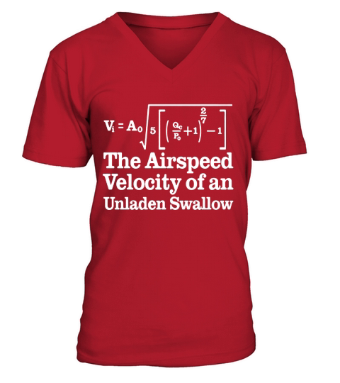 Airspeed Velocity Of An Unladen Swallow T-Shirt V-Neck T-shirt