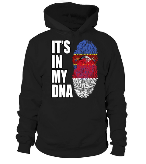 Swazi And Indonesian Vintage Heritage DNA Flag Hoodie Unisex