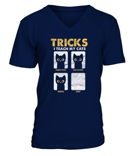Tricks I Teach My Cats Vintage V-Neck T-shirt