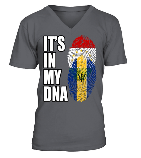 Tajikistani And Barbadian Vintage Heritage DNA Fla V-Neck T-shirt