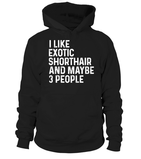 I Like Exotic Shorthair And Maybe 3 People Cat Hoodie Unisex