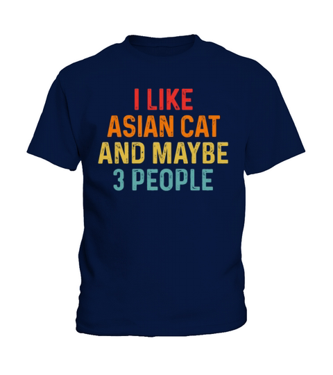 I Like Asian And Maybe 3 People Retro Vintage Kids T-Shirt