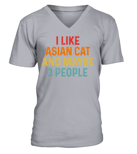 I Like Asian And Maybe 3 People Retro Vintage V-Neck T-shirt