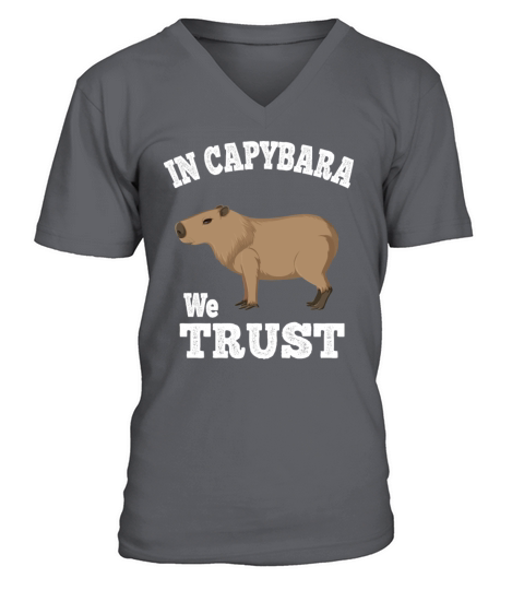 In Capybara We Trust Funny Animal Gift V-Neck T-shirt