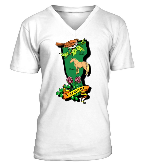 Vermont T-Shirt V-Neck T-shirt