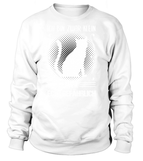 Cat Small But Dangerous Funny Quote Gift Sweatshirt Unisex