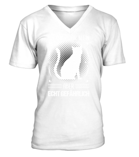 Cat Small But Dangerous Funny Quote Gift V-Neck T-shirt