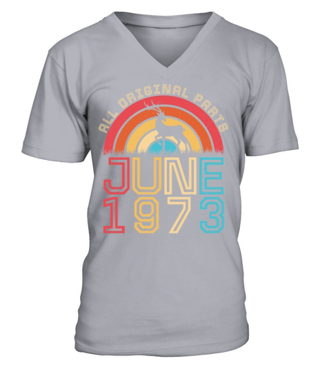 Vintage 1973 June V-Neck T-shirt