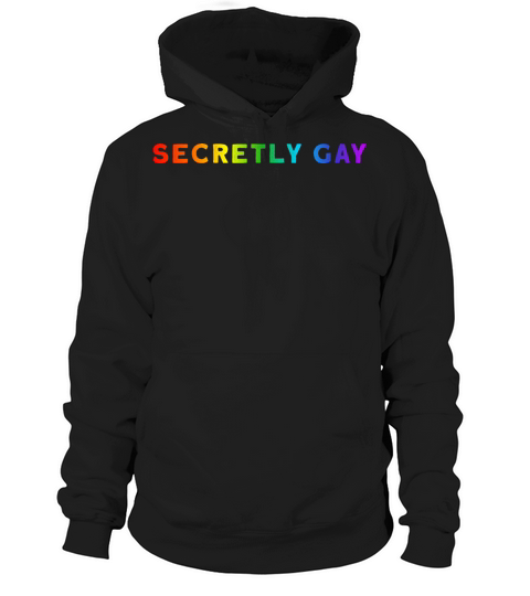 Secretly Gay Humor Queer Gay LGBT Funny Supporter Hoodie Unisex