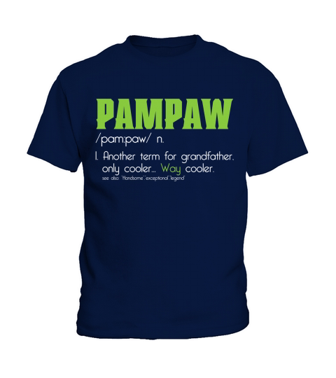 Pampaw Cool Funny Definition 2020 Kids T-Shirt
