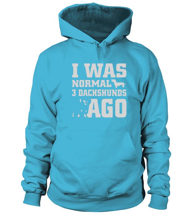 DACHSHUND SHIRT I WAS NORMAL 3 DACHSHUND AGO Hoodie Unisex