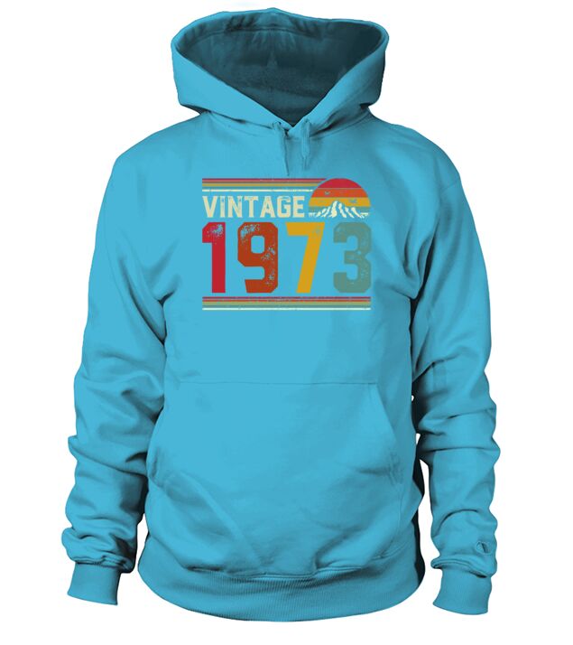 Vintage 1973 48 Years Old 48th Birthday Gift Men's Hoodie