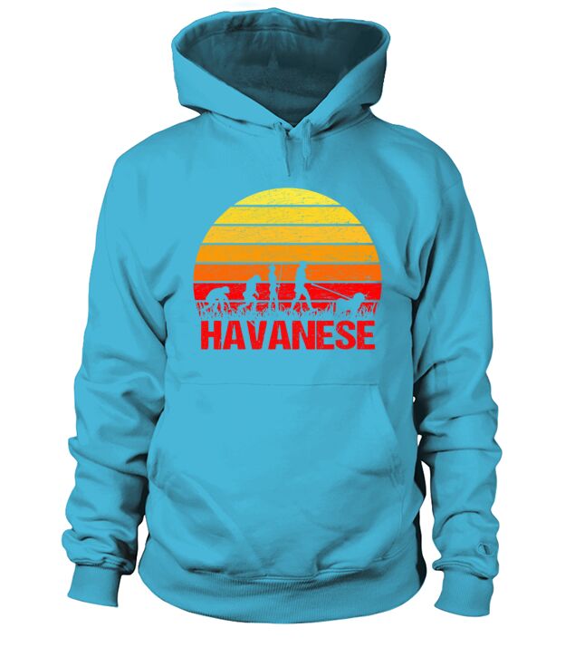 Havanese Sunset Evolution Men's Hoodie
