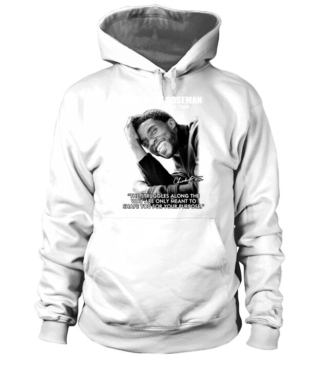 Chadwick Boseman 1977 2020 the struggles along the way are only meant to shape you Hoodie Unisex
