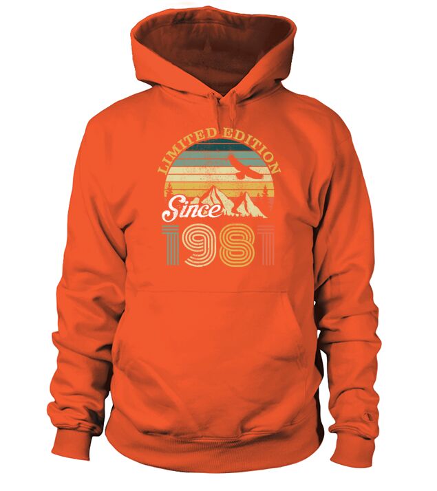 1981 Vintage born in Retro age Birthday gift idea Men's Hoodie
