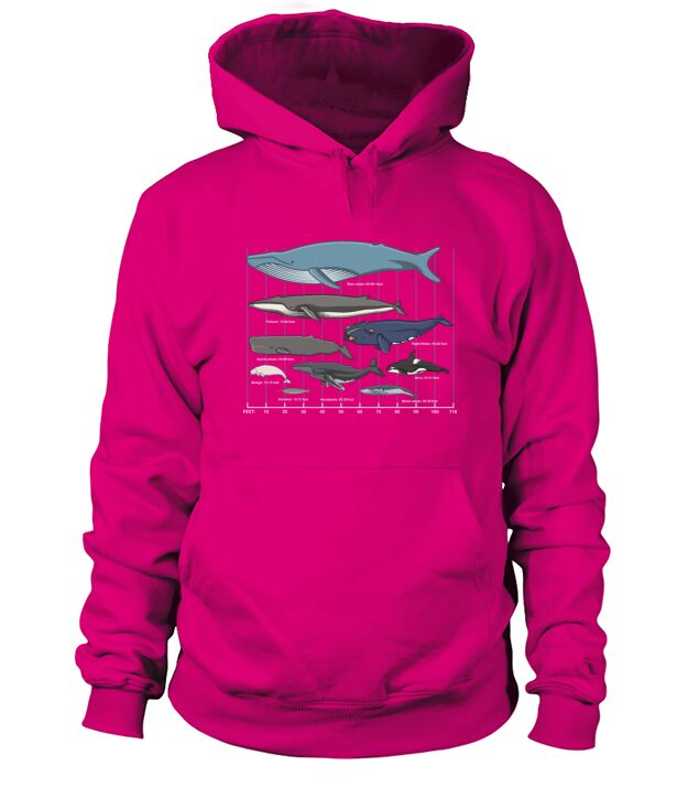 Types Of Whales Cute Ocean Mammals Guide Men's Hoodie