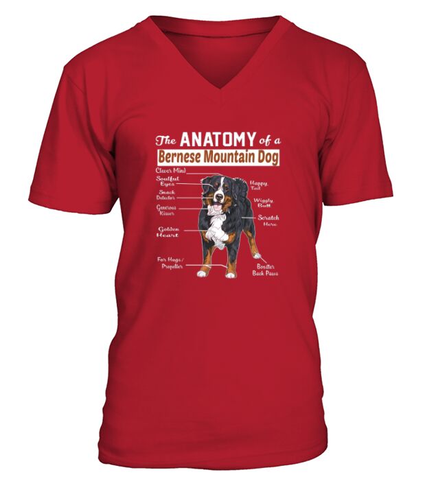 The anatomy of a Bernese Mountain Dog shirt V-Neck T-shirt