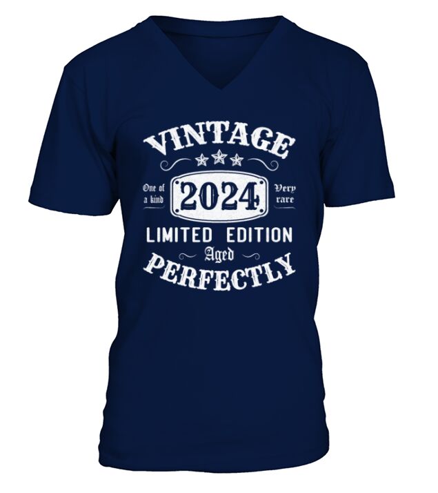 Vintage 2024 Limited Edition Aged Perfectly V-Neck T-shirt