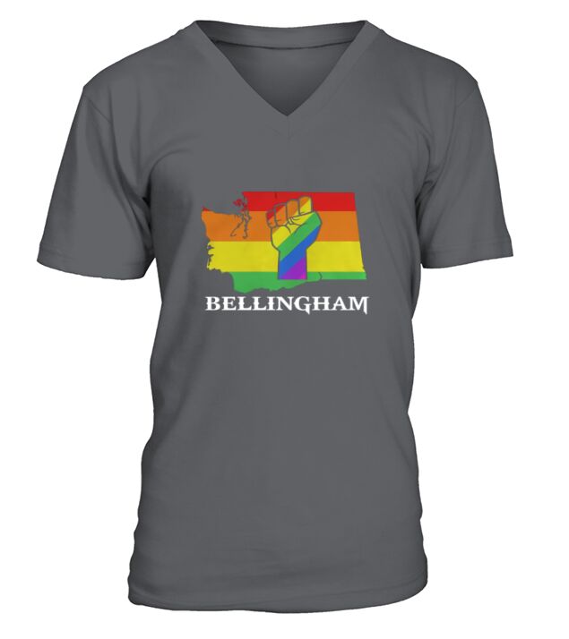 LGBT resistance Bellingham Washington V-Neck T-shirt