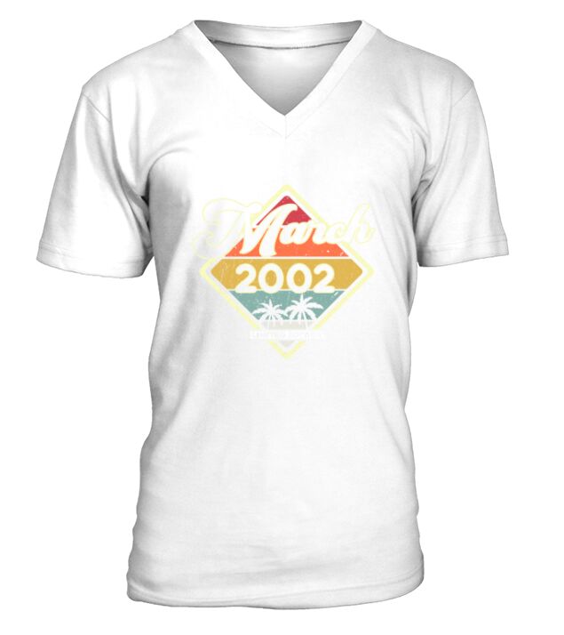 Vintage 80s March 2002 20th Birthday Gift Idea V-Neck T-shirt